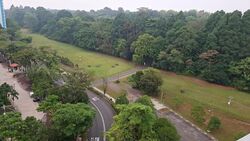 Blk 273 Bangkit Road (Bukit Panjang), HDB 5 Rooms #617709031